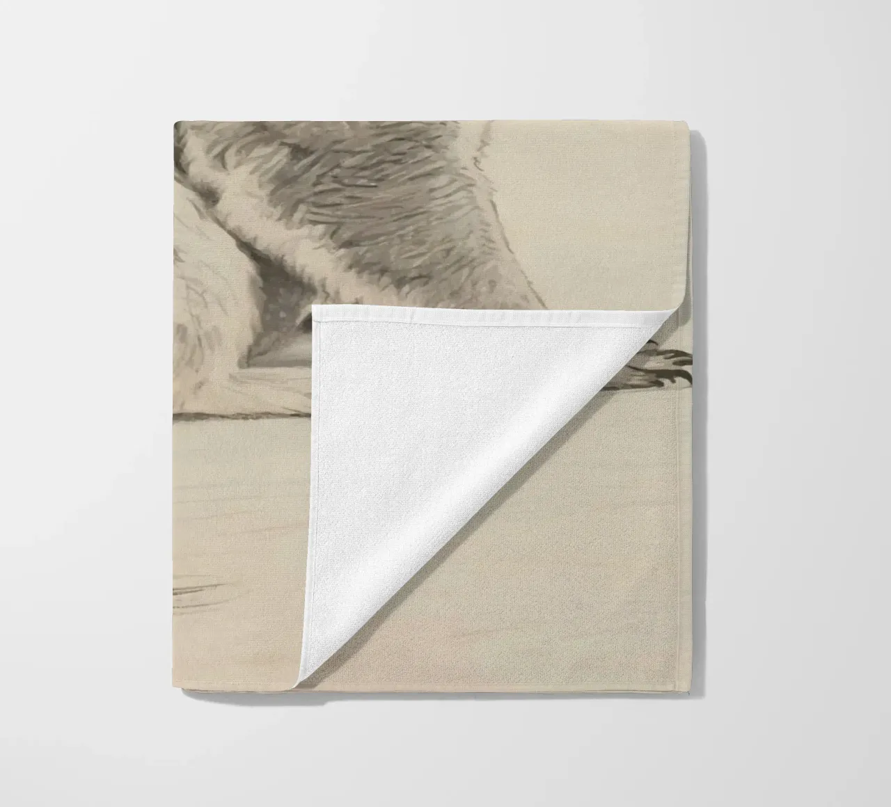 Koala telo mare da knowledge