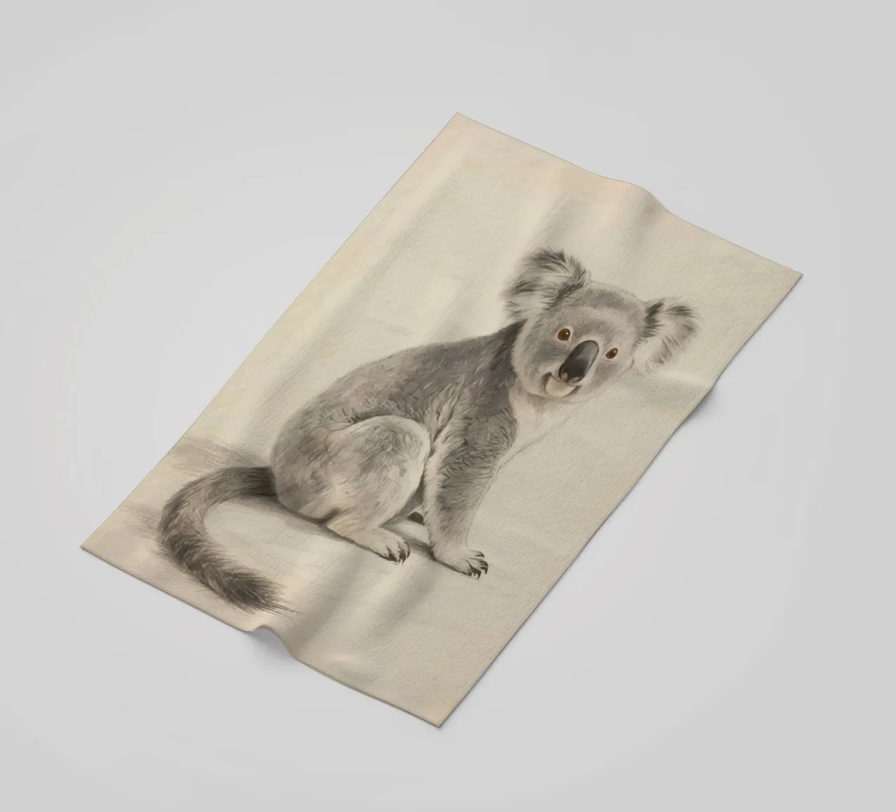 Koala telo mare da knowledge