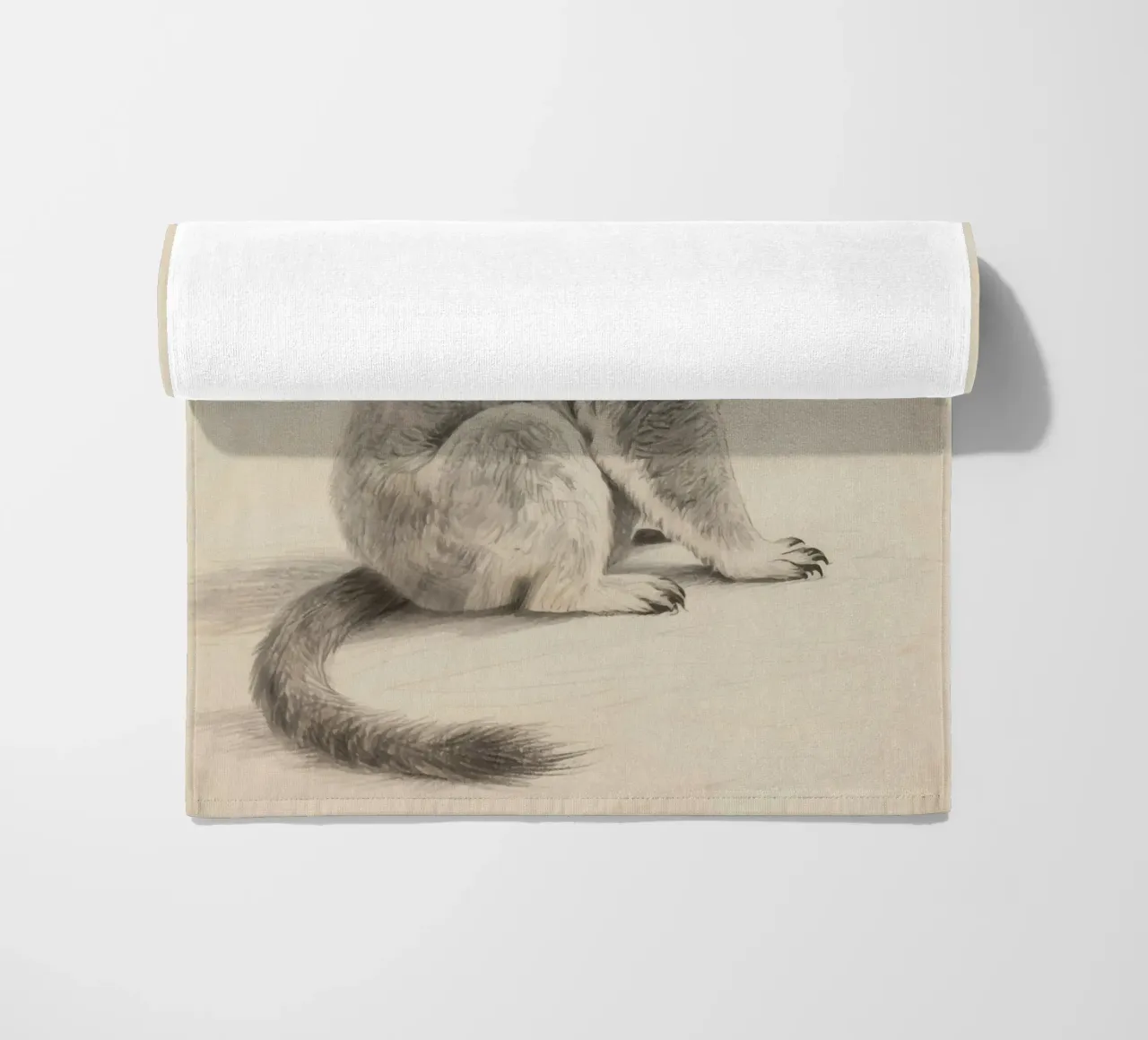 Koala telo mare da knowledge