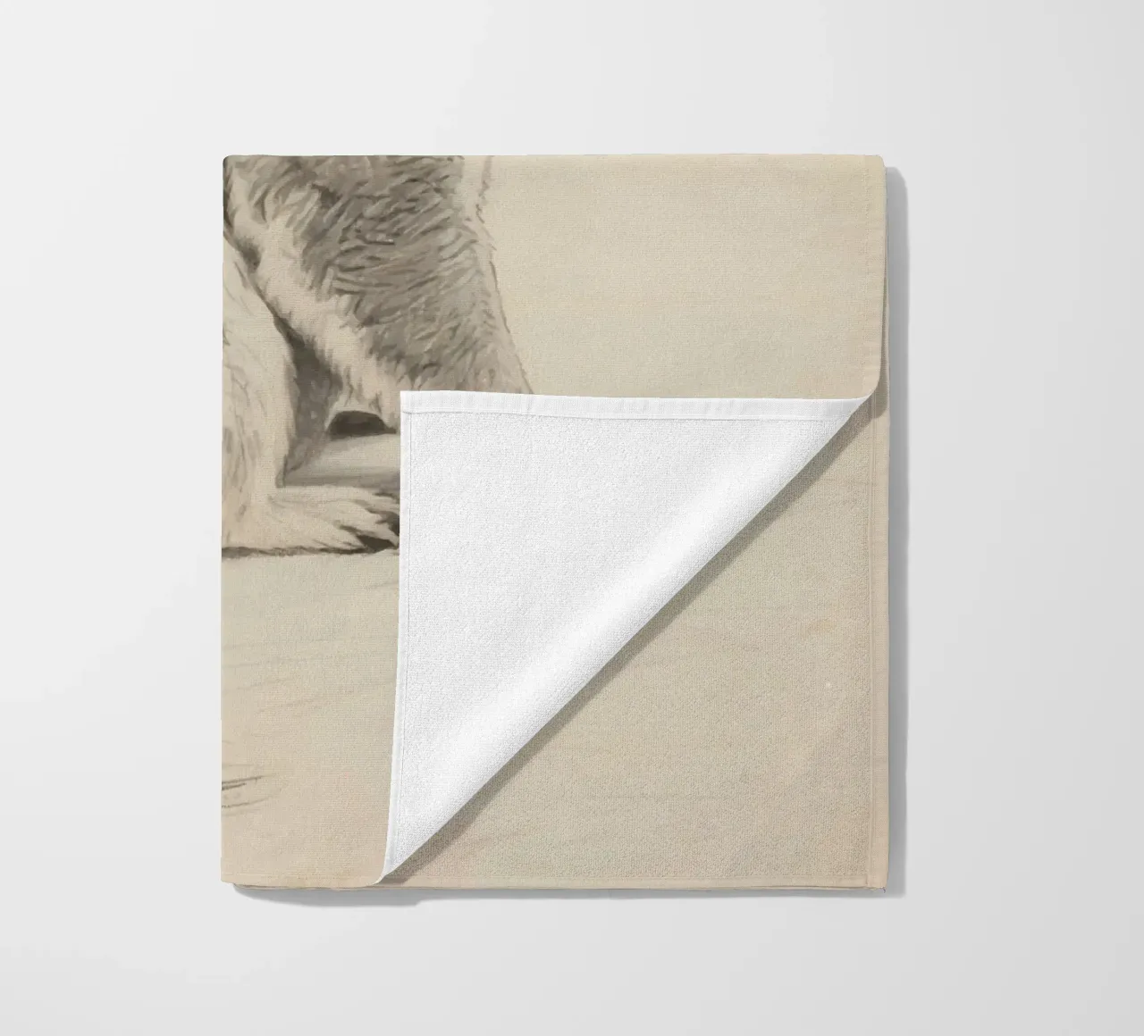 Koala telo mare da knowledge