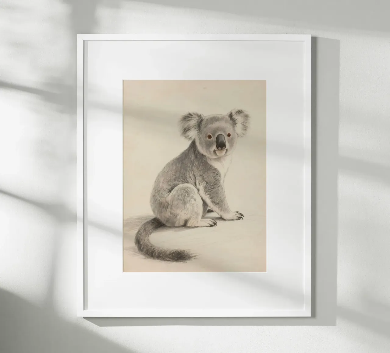 Koala poster da knowledge
