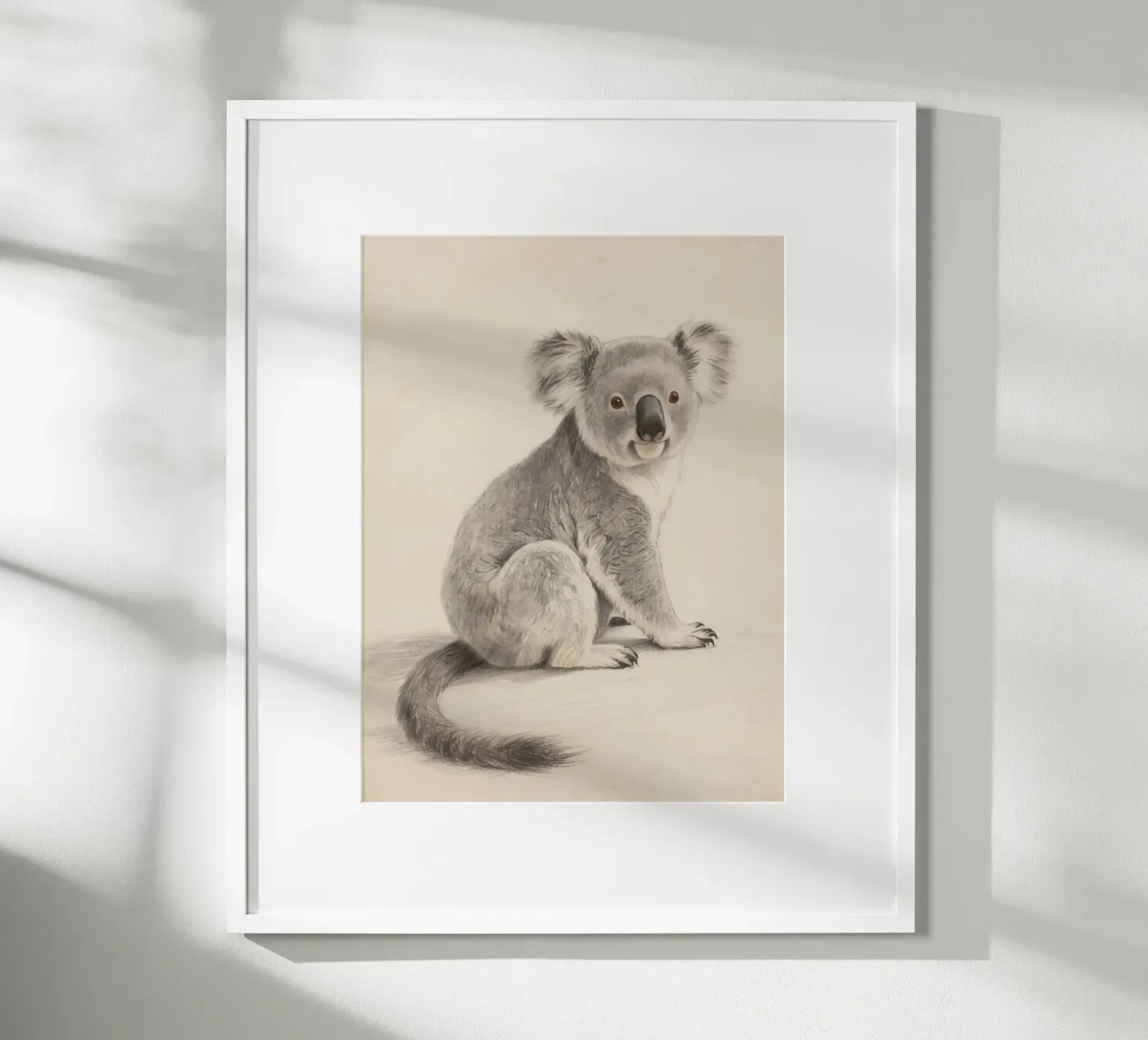 Koala poster da knowledge