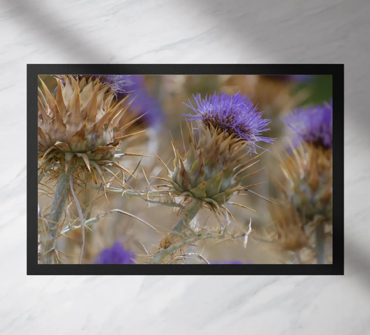 Thistles zerbino da Carol Maia
