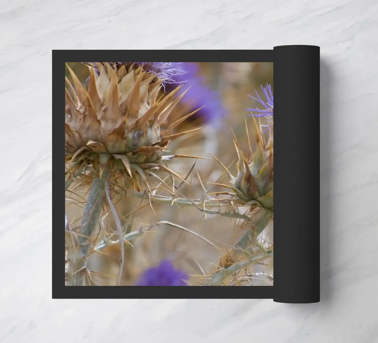 Thistles doormat by Carol Maia