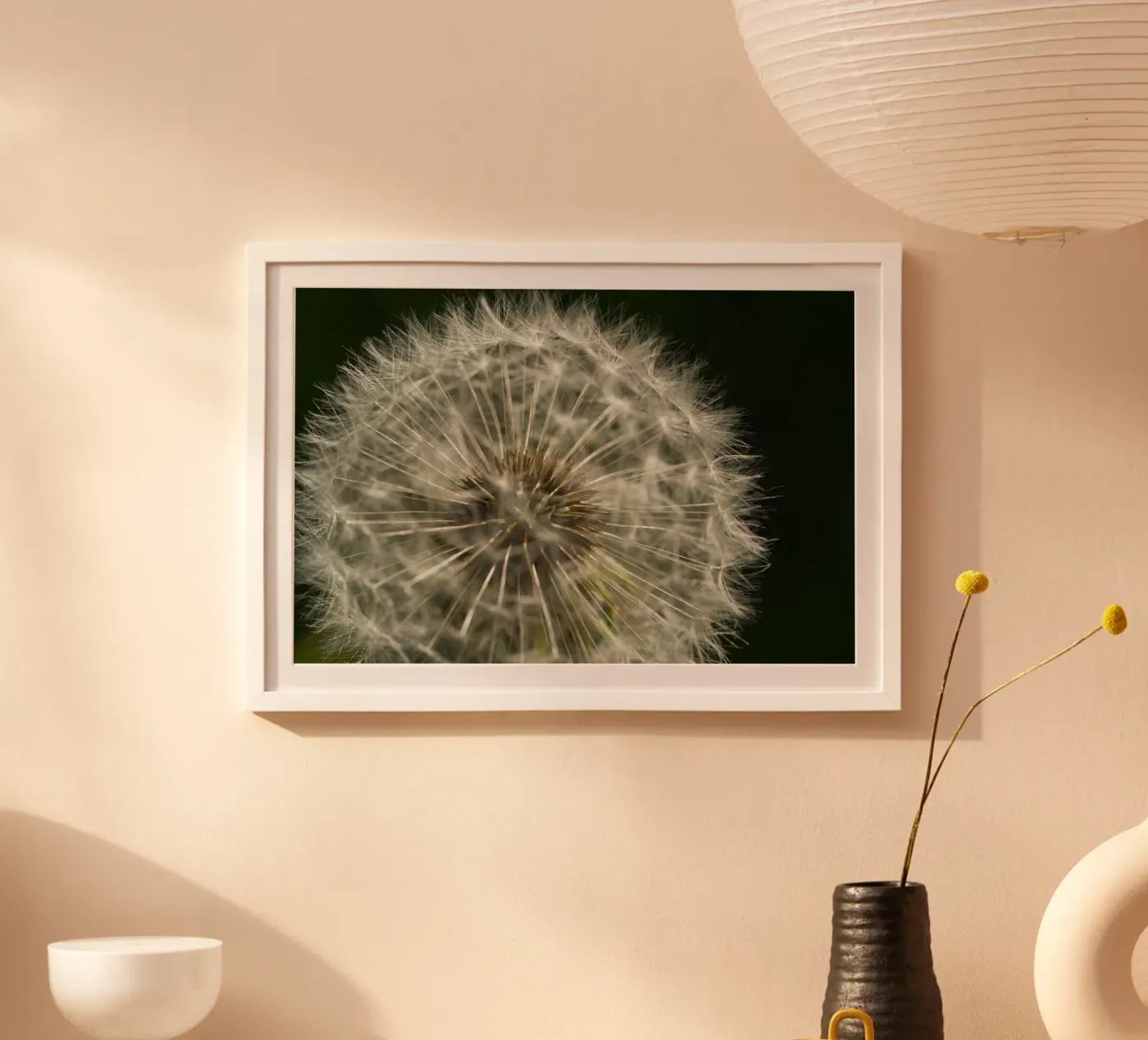 Dandelion poster by Carol Maia