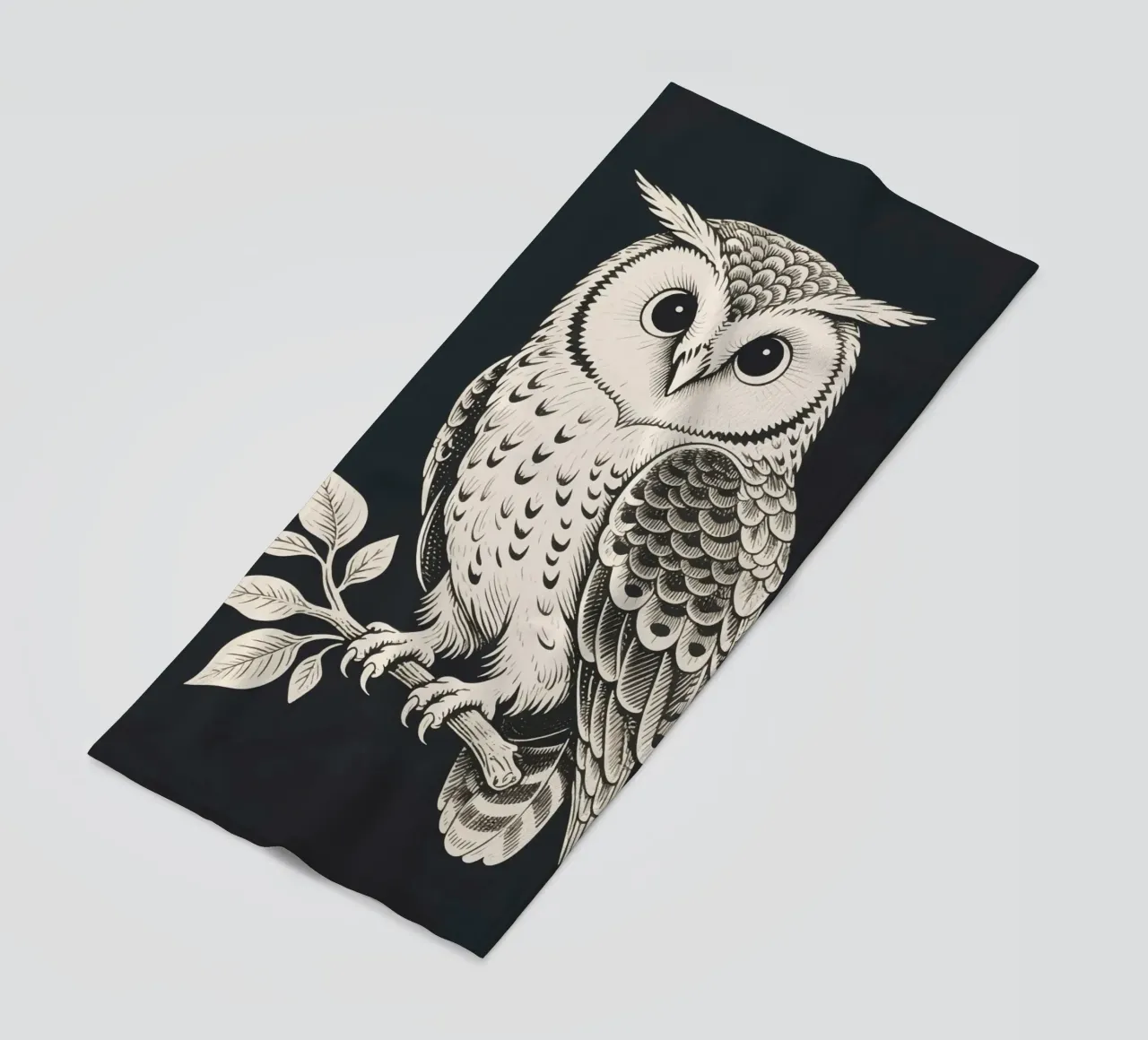 Gufo telo mare da knowledge