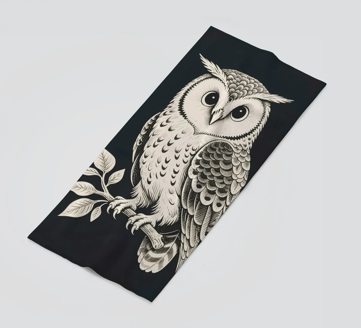 Gufo telo mare da knowledge