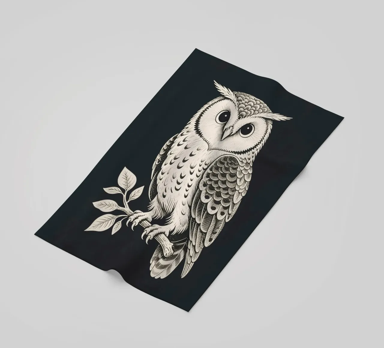 Gufo telo mare da knowledge