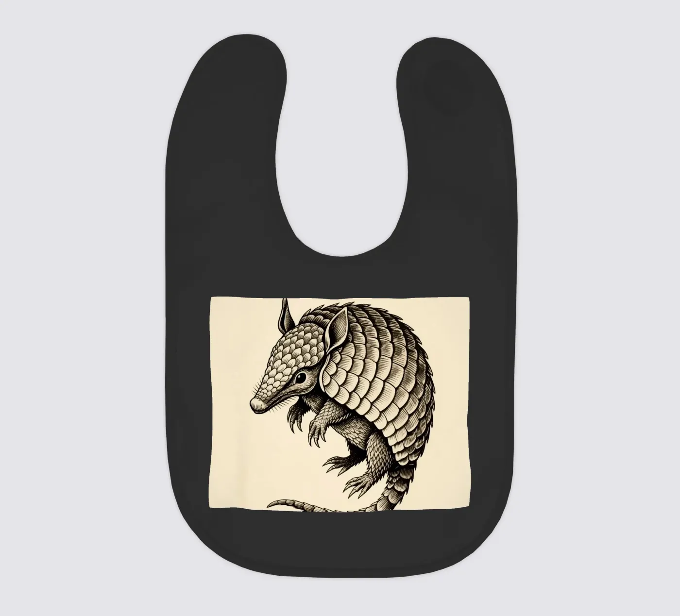 Armadillo bavaglino da knowledge