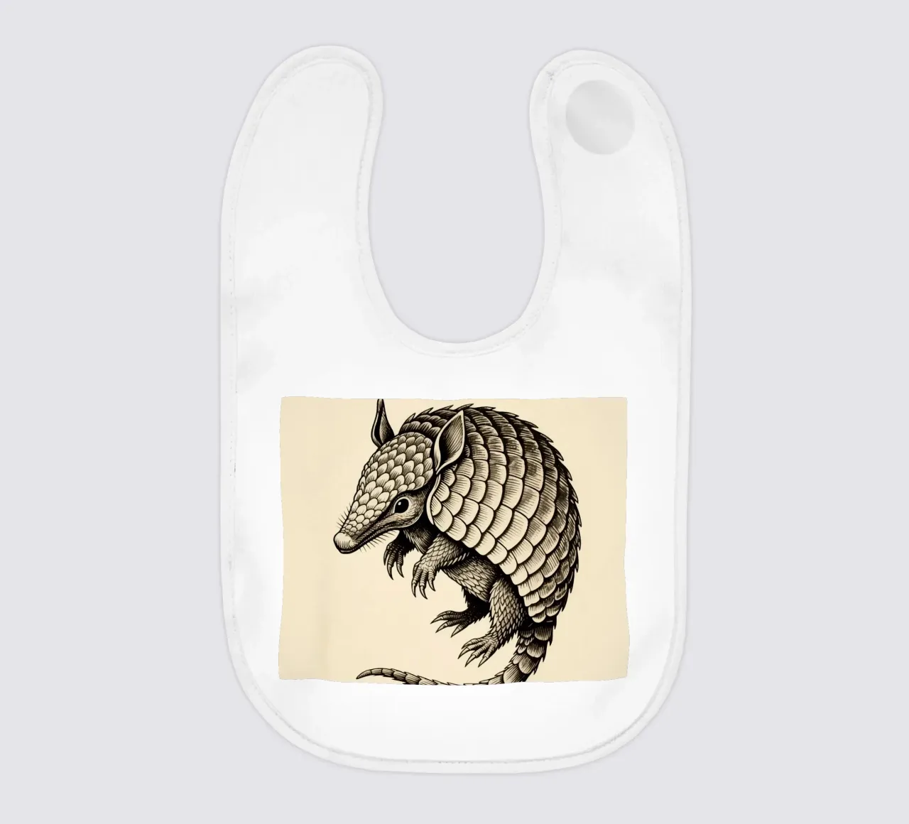 Armadillo bavaglino da knowledge