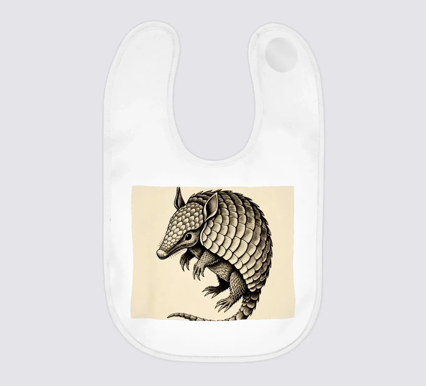 Armadillo bavaglino da knowledge