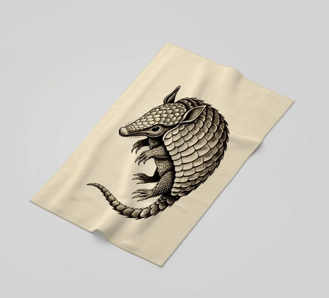 Armadillo telo mare da knowledge