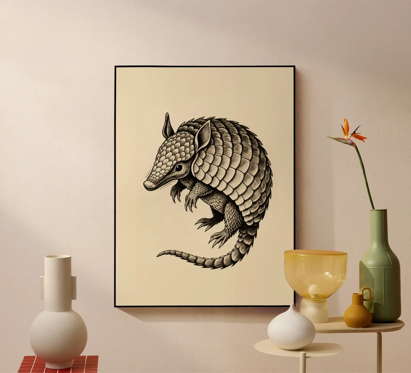 Armadillo plexiglass da knowledge