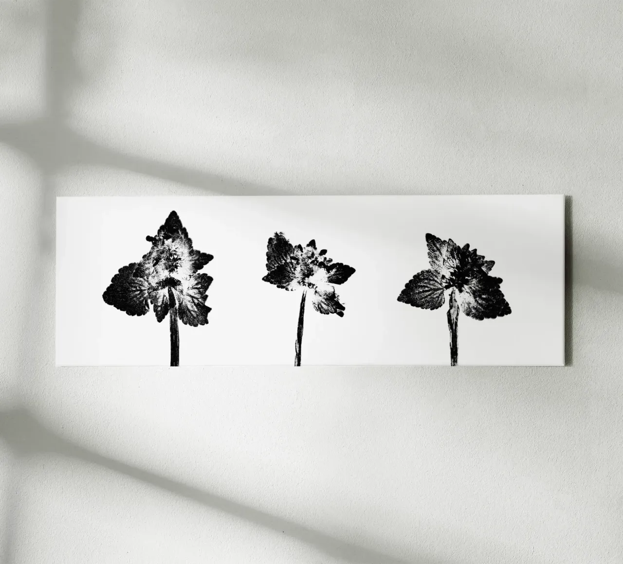 Impressioni botaniche | Lamium purpureum trio v2 tela con Cornice a cassetta da Ivona Maris