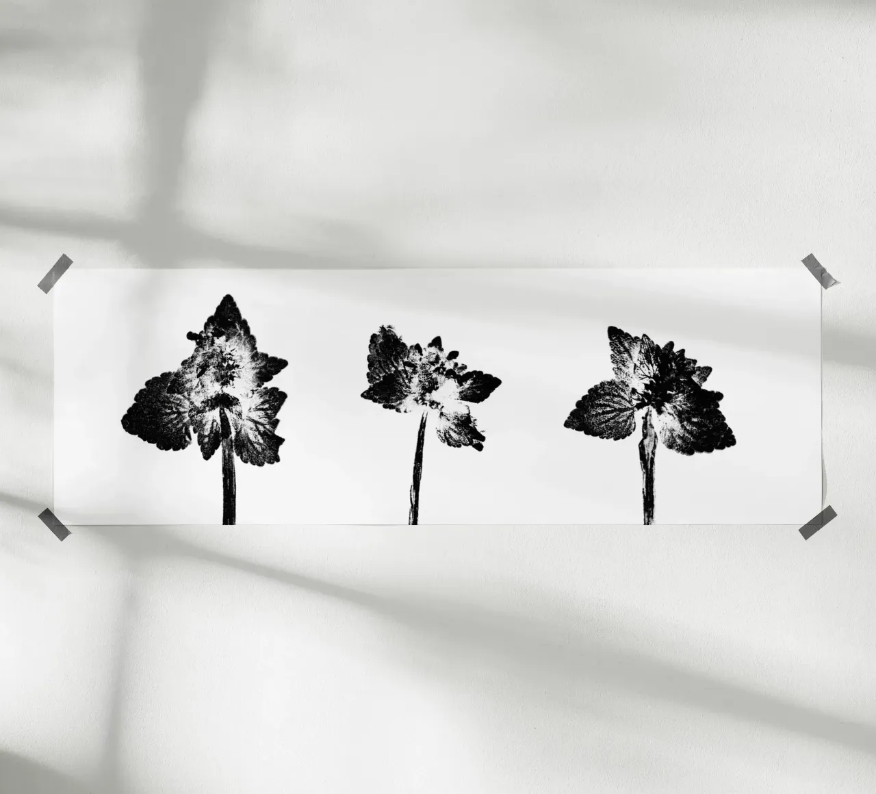 Impressioni botaniche | Lamium purpureum trio v2 poster da Ivona Maris