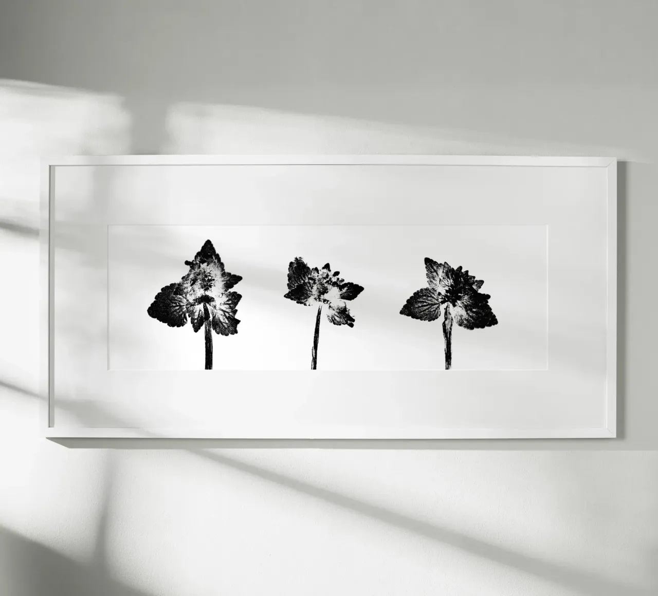 Impressioni botaniche | Lamium purpureum trio v2 poster da Ivona Maris