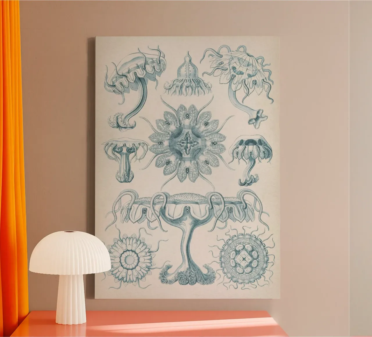 Vintage Haeckel 7 Tafel 18 Scheibenquallen tela con Cornice a cassetta da Vintage Print Collection