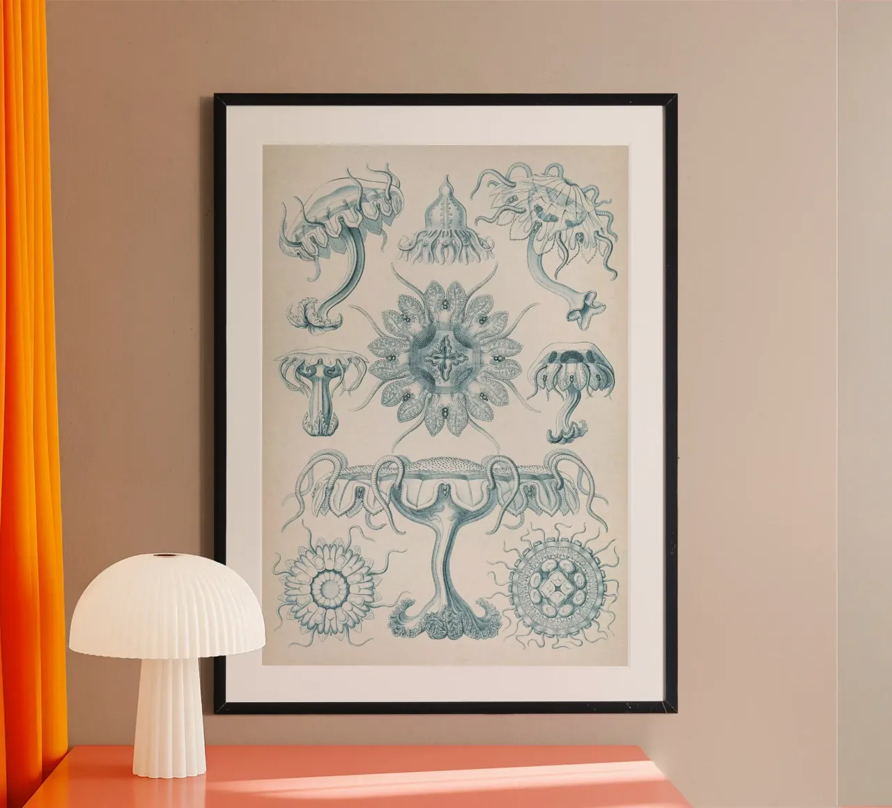 Vintage Haeckel 7 Tafel 18 Scheibenquallen poster con telaio in alluminio da Vintage Print Collection