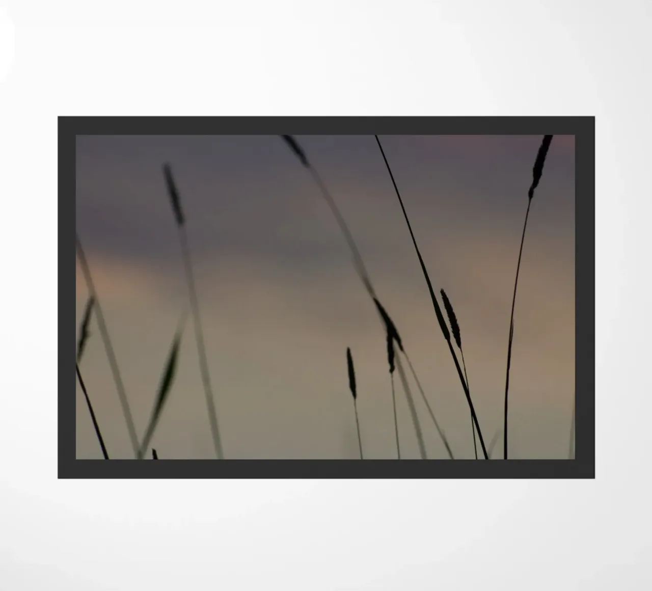 Sunset by the lake zerbino da Carol Maia