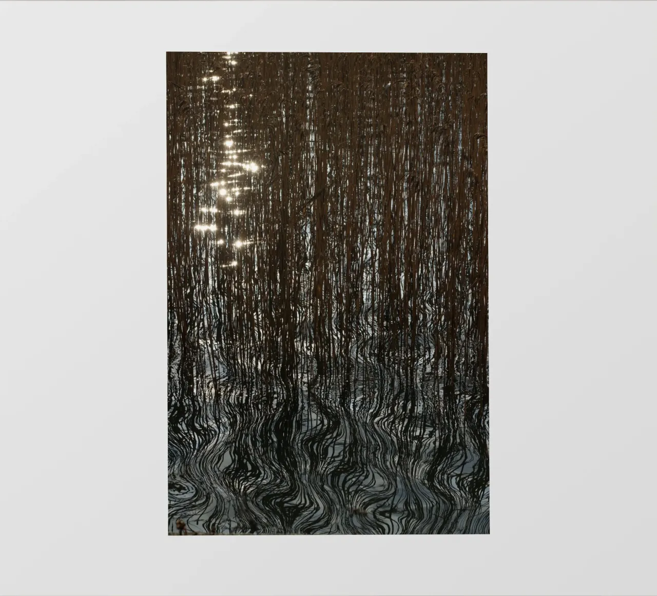 Distorted reflections fotobehang van Carol Maia