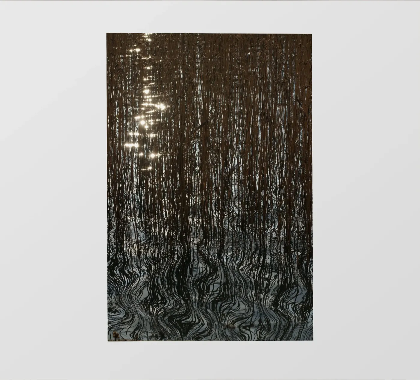 Distorted reflections fotobehang van Carol Maia