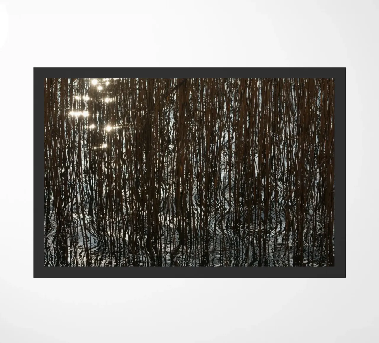 Distorted reflections zerbino da Carol Maia