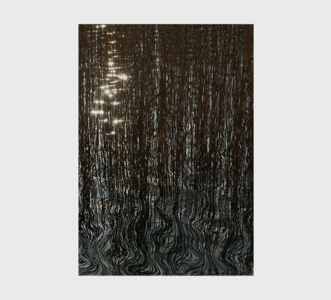 Distorted reflections notebook by Carol Maia