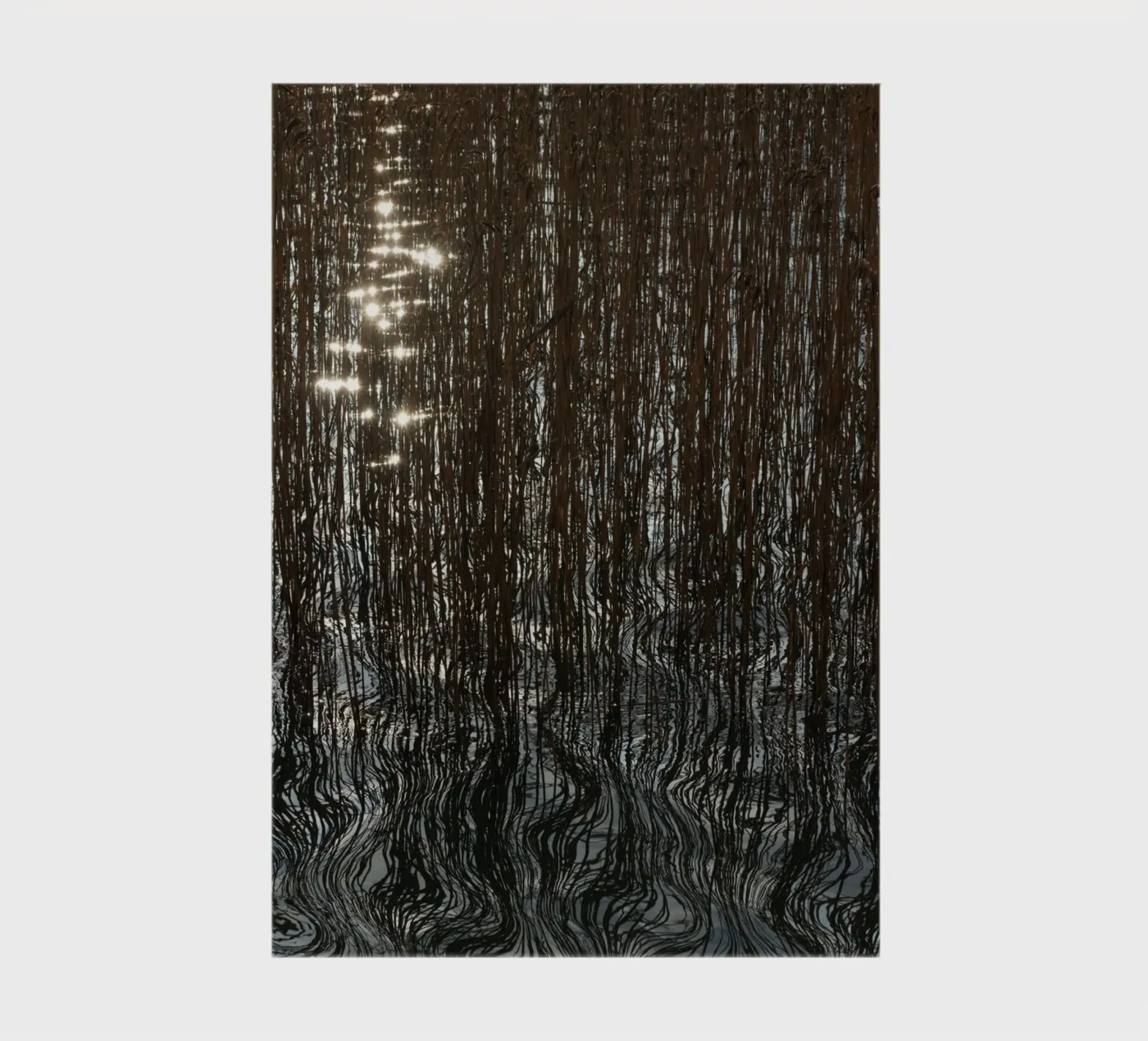 Distorted reflections notebook by Carol Maia