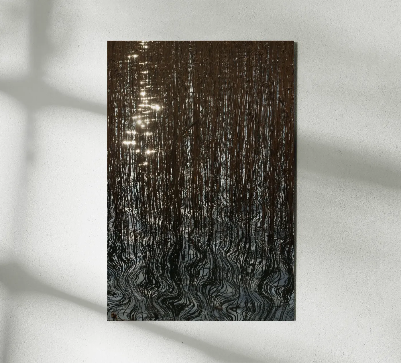 Distorted reflections alluminio dibond da Carol Maia