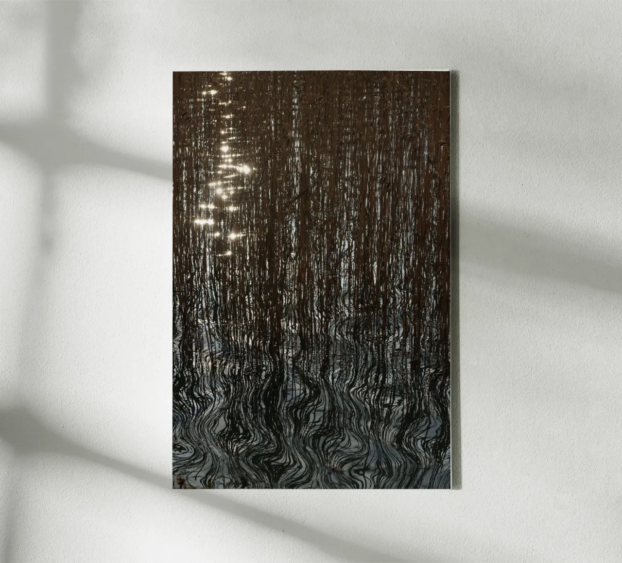 Distorted reflections Leinwand mit Schattenfugenrahmen von Carol Maia