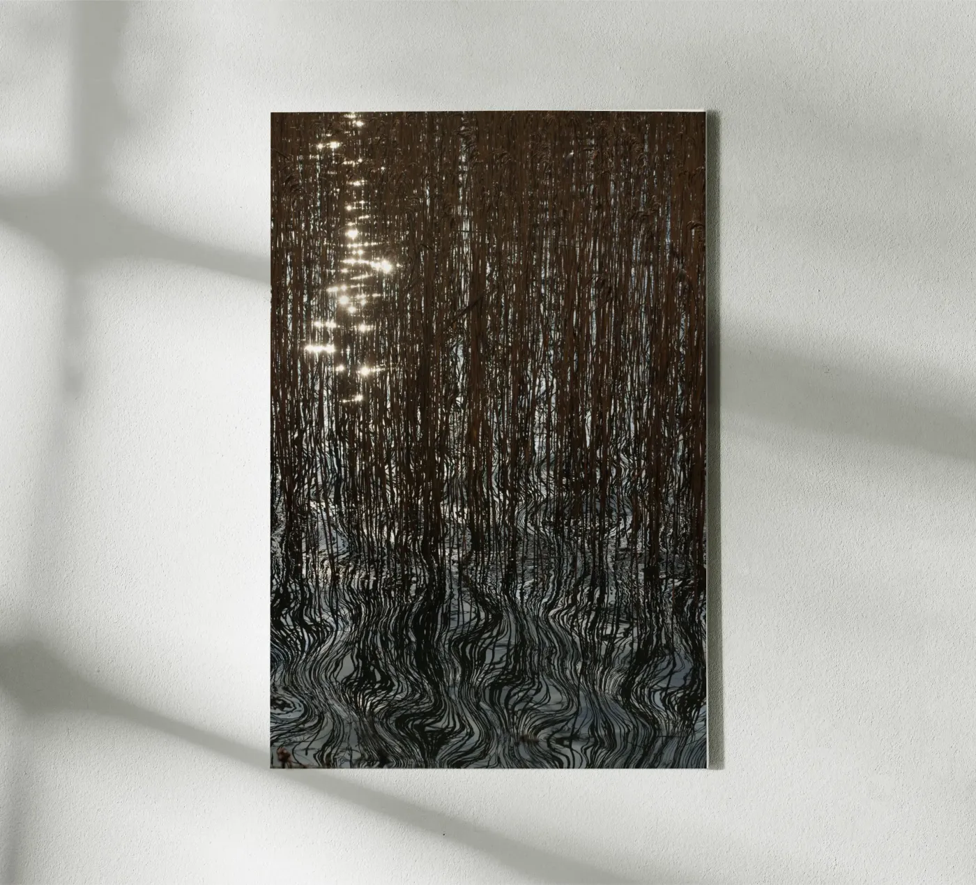 Distorted reflections canvas by Carol Maia