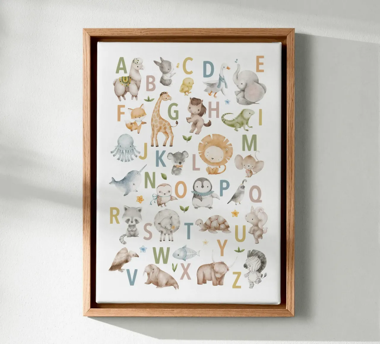 Alphabet 5 animals canvas with Floater frame by Panait Ivascu