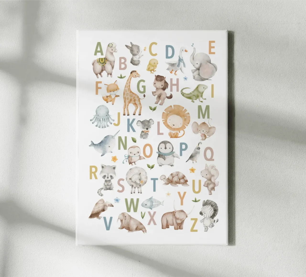Alphabet 5 animals canvas with Floater frame by Panait Ivascu