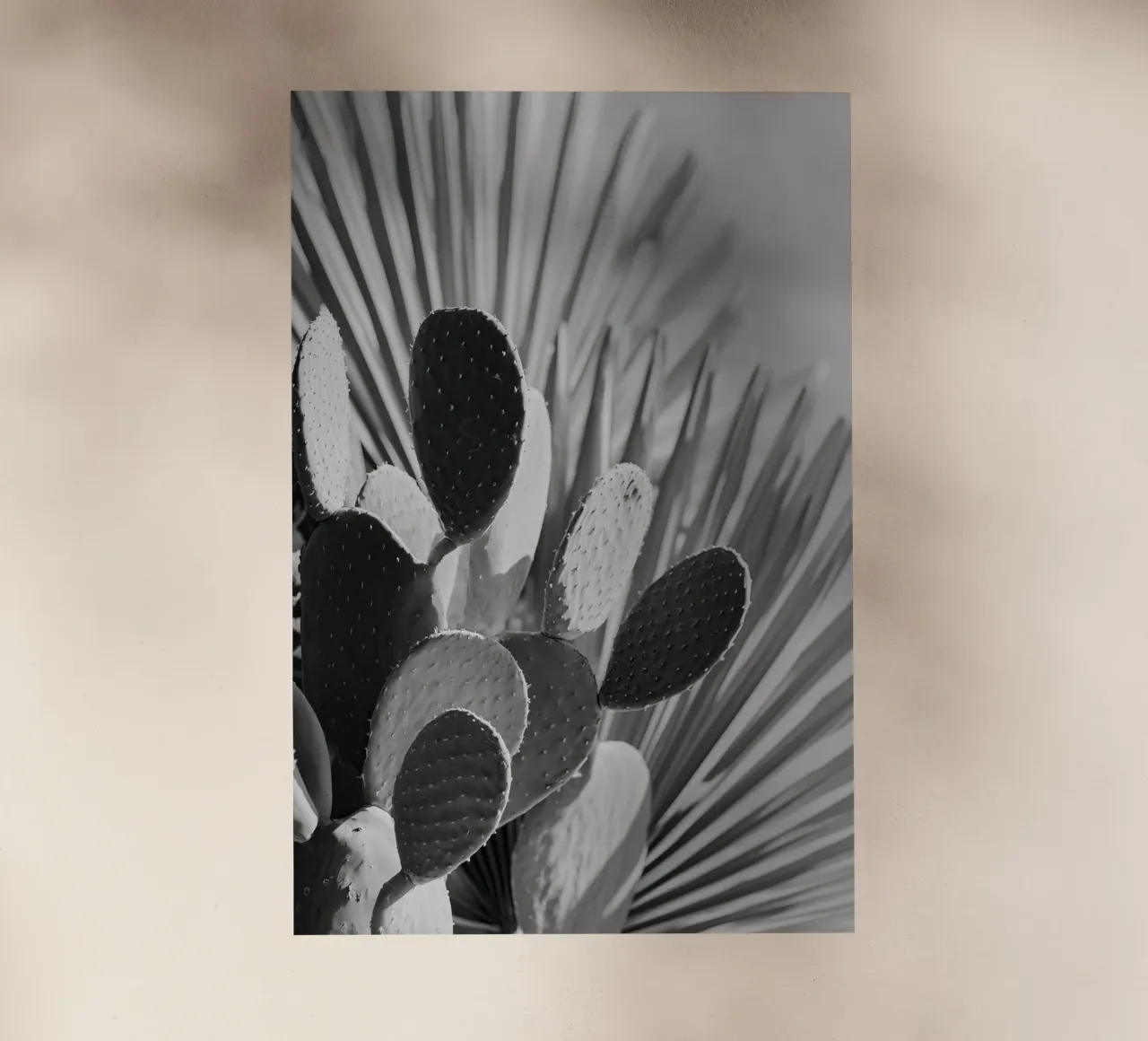 Cactus Poem No 01 pellicola backlit da treechild