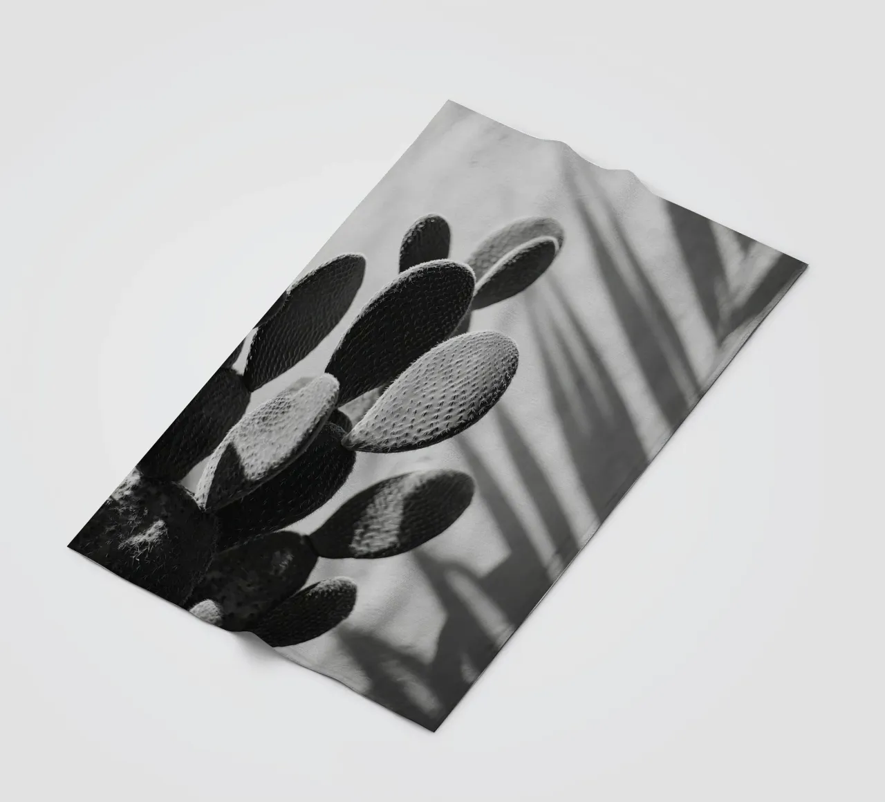 Cactus Poem No 03 coperta in pile da treechild