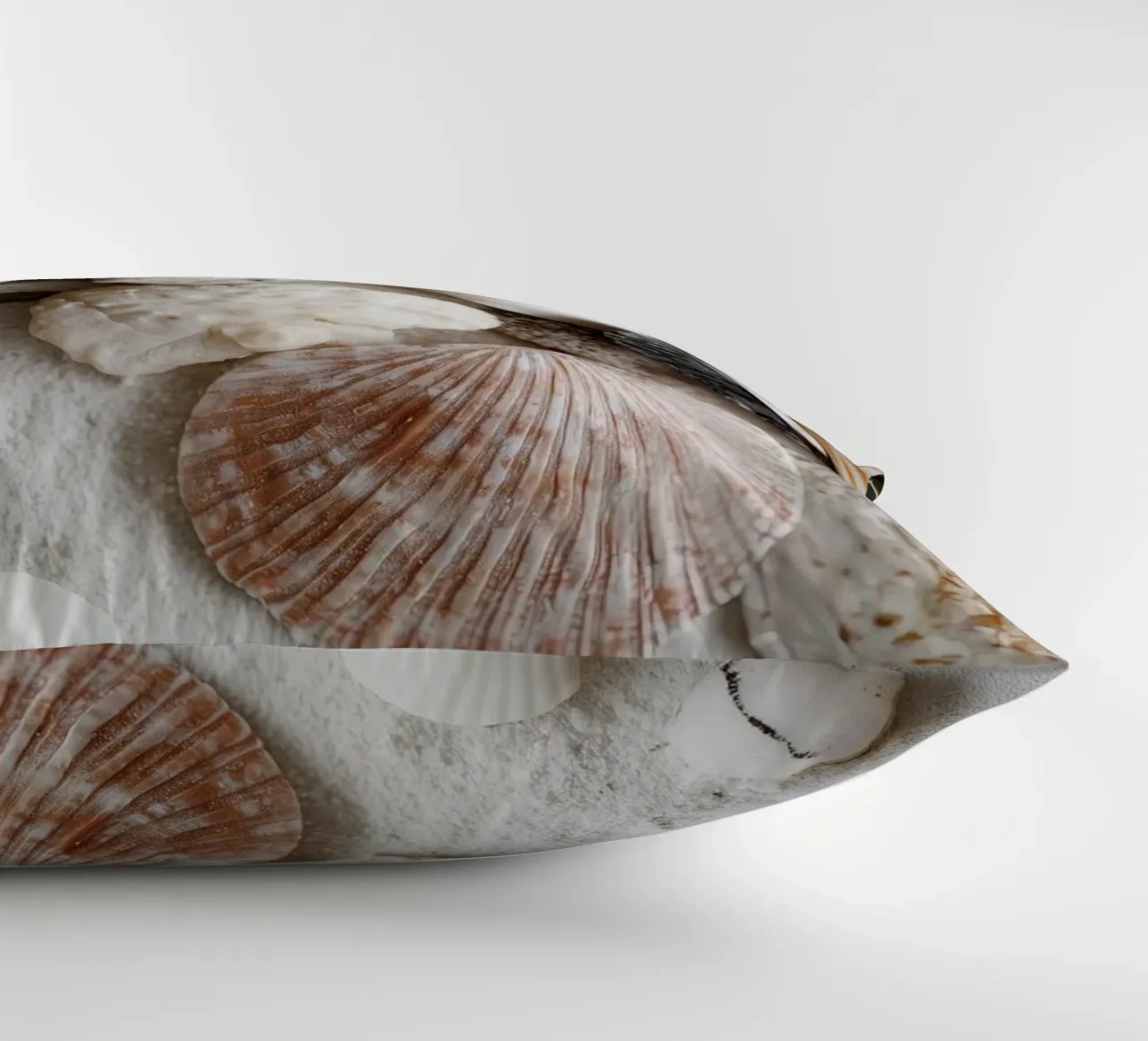 Shell Stories No 01 cuscino da treechild