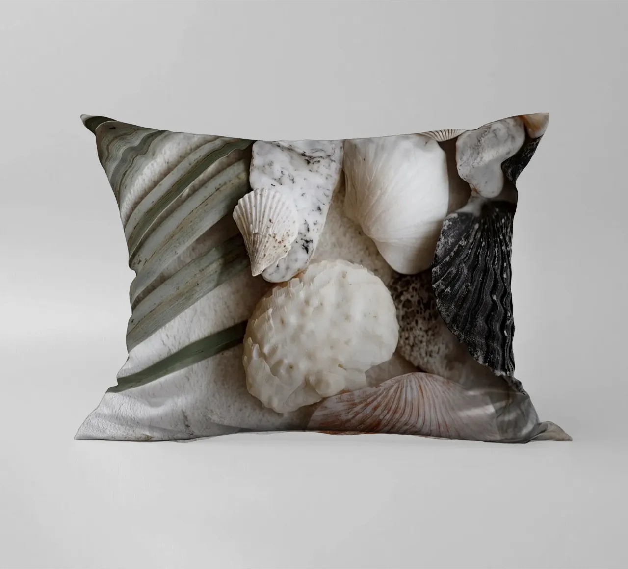 Shell Stories No 01 cuscino da treechild