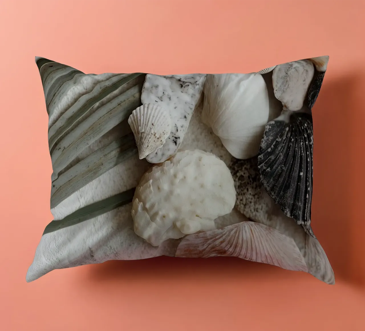 Shell Stories No 01 cuscino da treechild