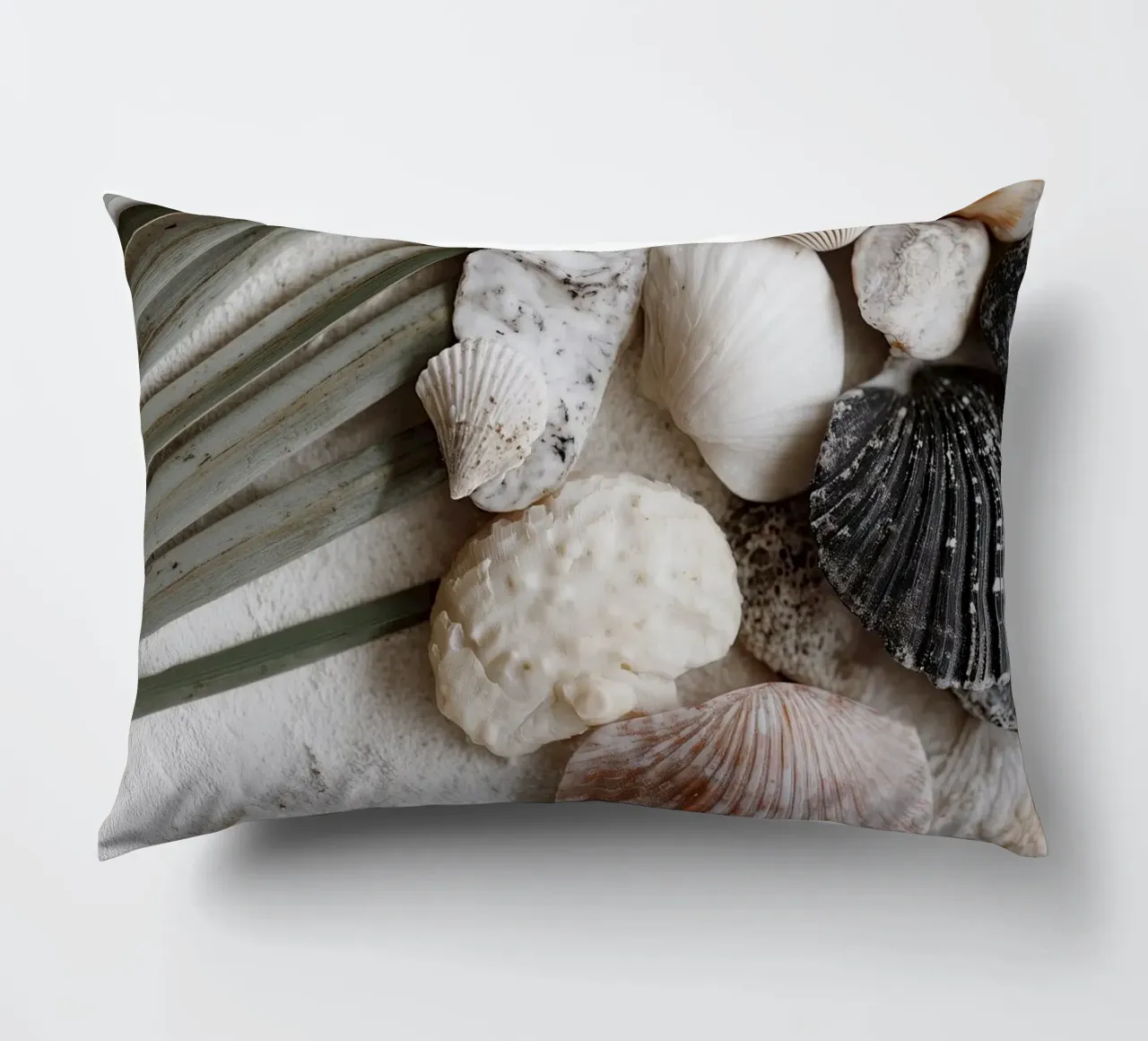 Shell Stories No 01 cuscino da treechild