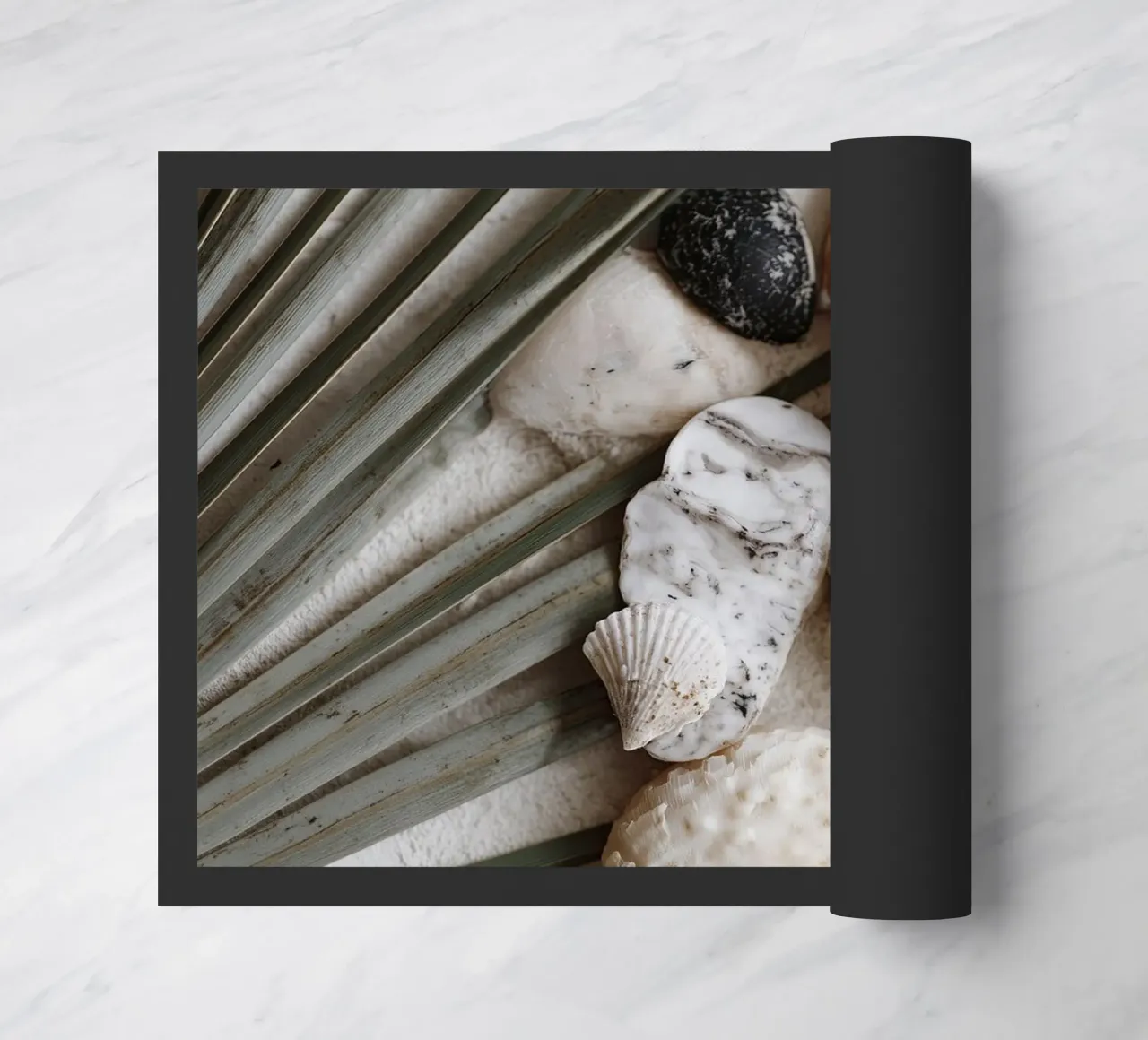 Shell Stories No 01 zerbino da treechild