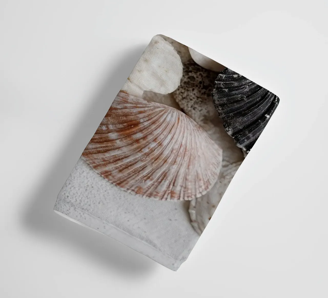 Shell Stories No 01 asciugamano da bagno da treechild