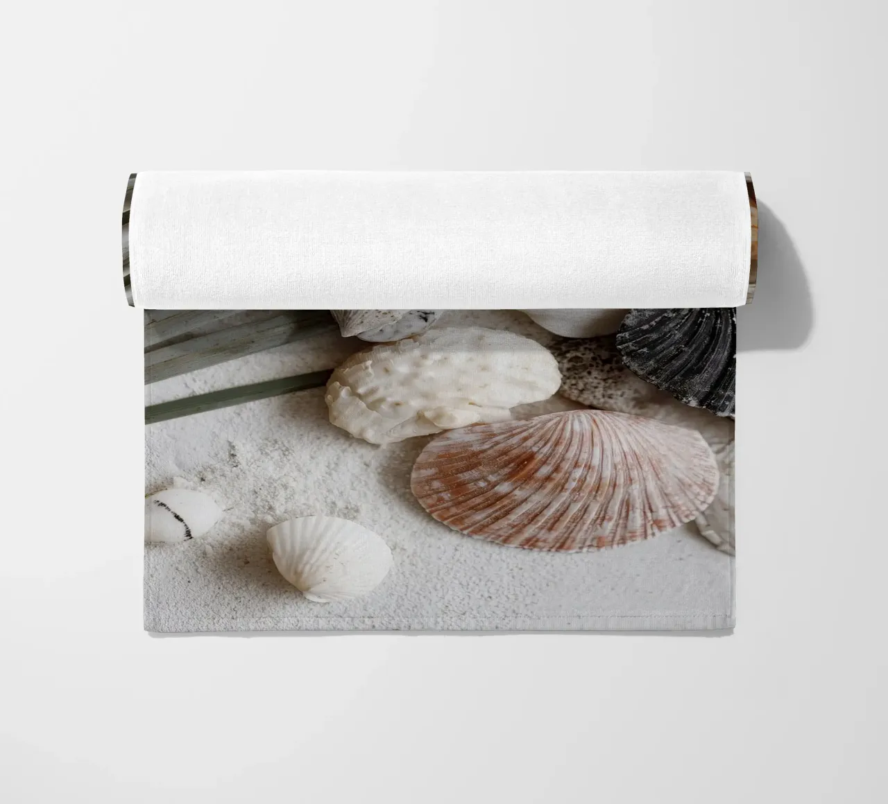 Shell Stories No 01 telo mare da treechild