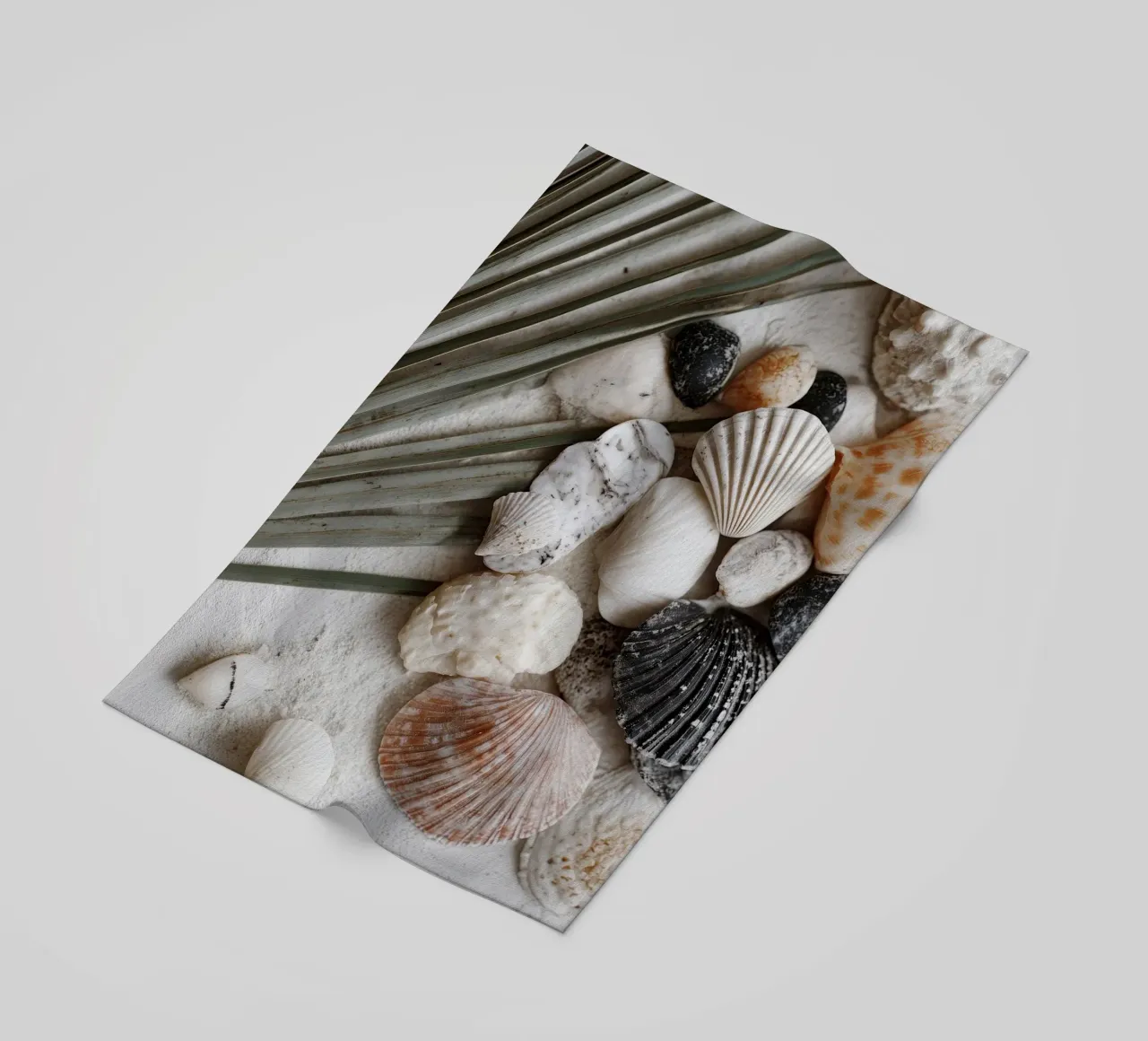 Shell Stories No 01 telo mare da treechild