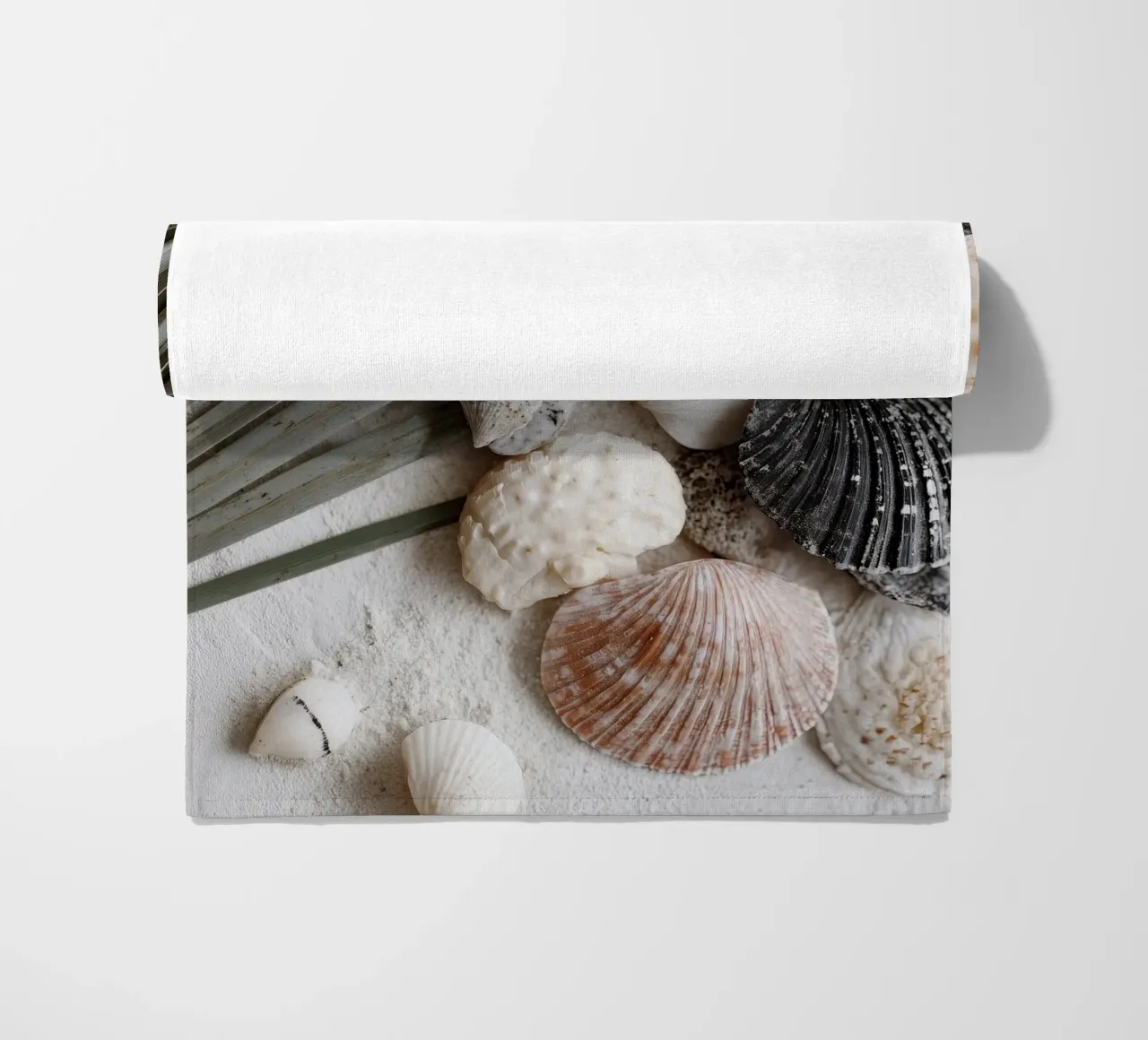 Shell Stories No 01 telo mare da treechild