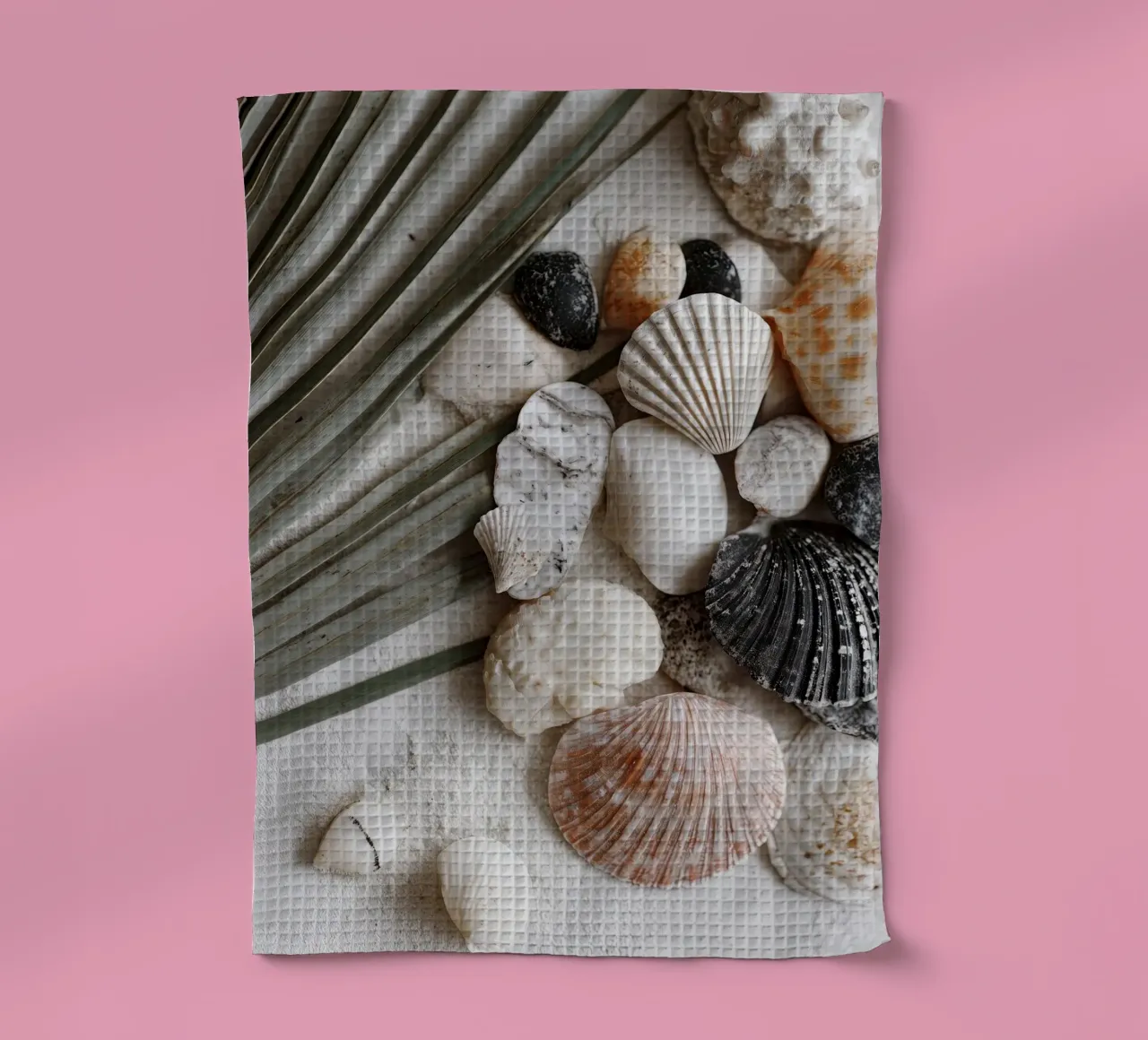 Shell Stories No 01 canovaccio da cucina da treechild