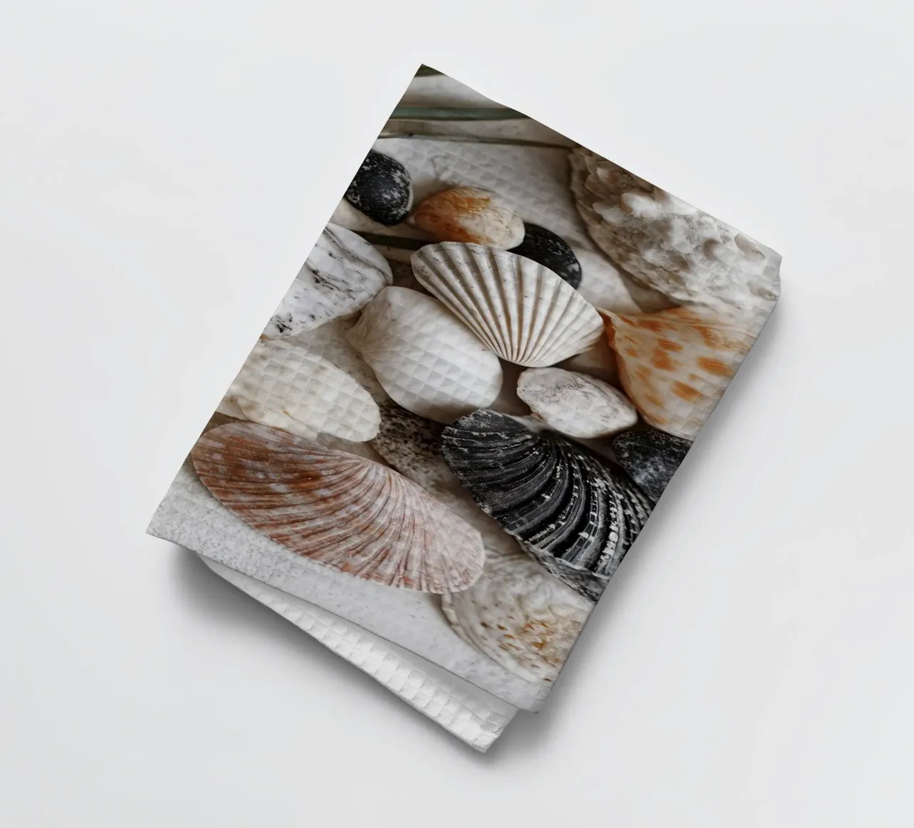 Shell Stories No 01 canovaccio da cucina da treechild