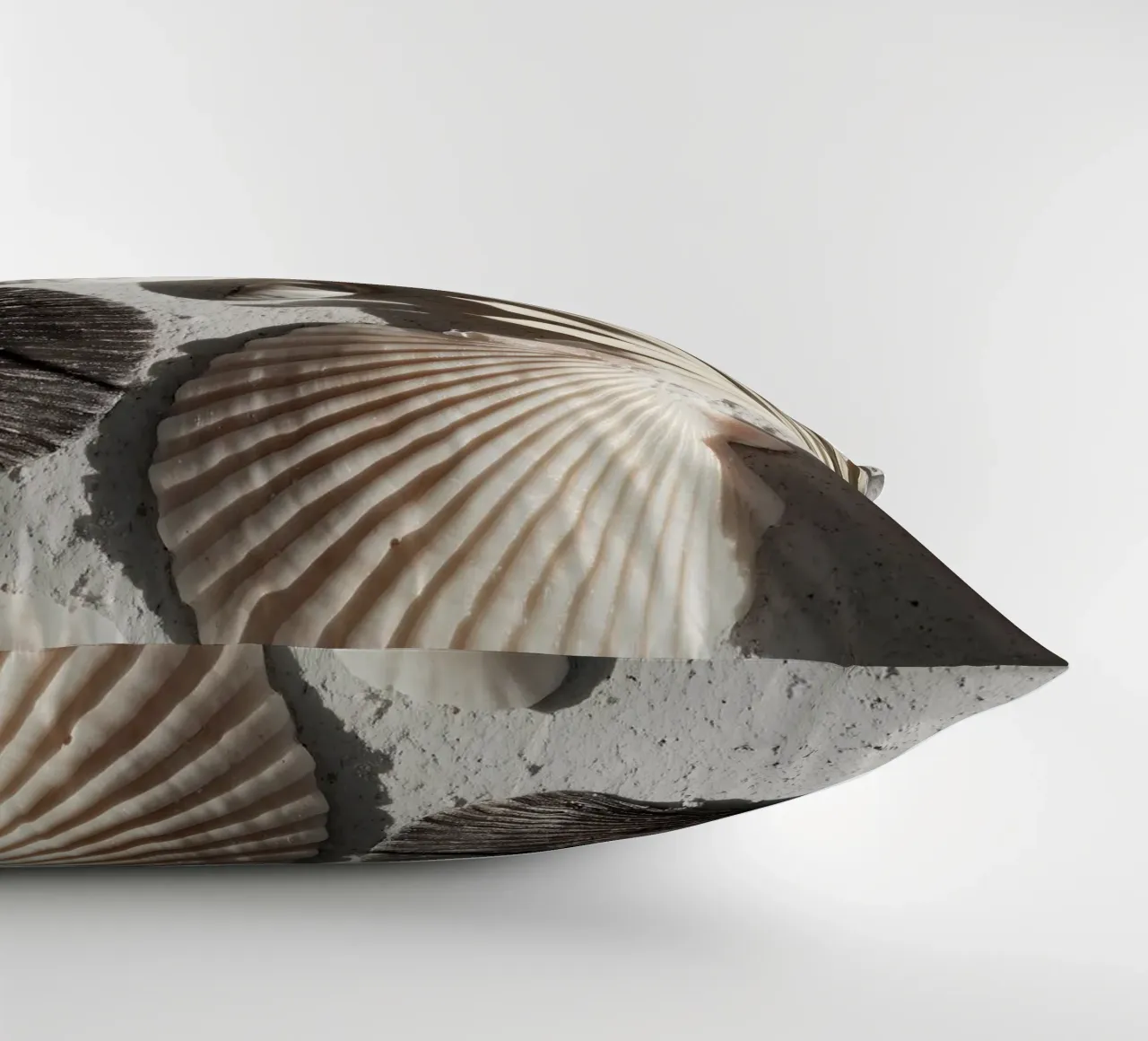Shell Stories No 02 cuscino da treechild