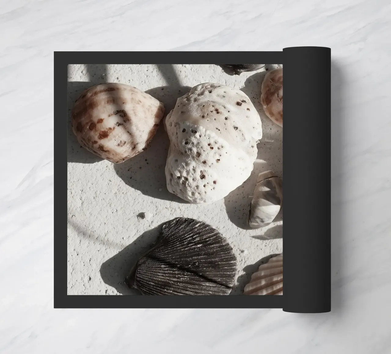 Shell Stories No 02 zerbino da treechild