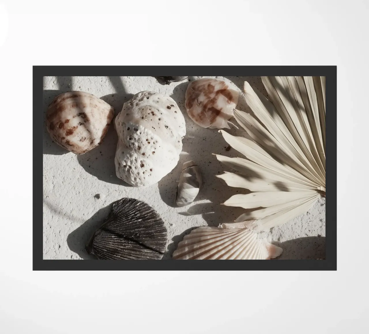 Shell Stories No 02 zerbino da treechild