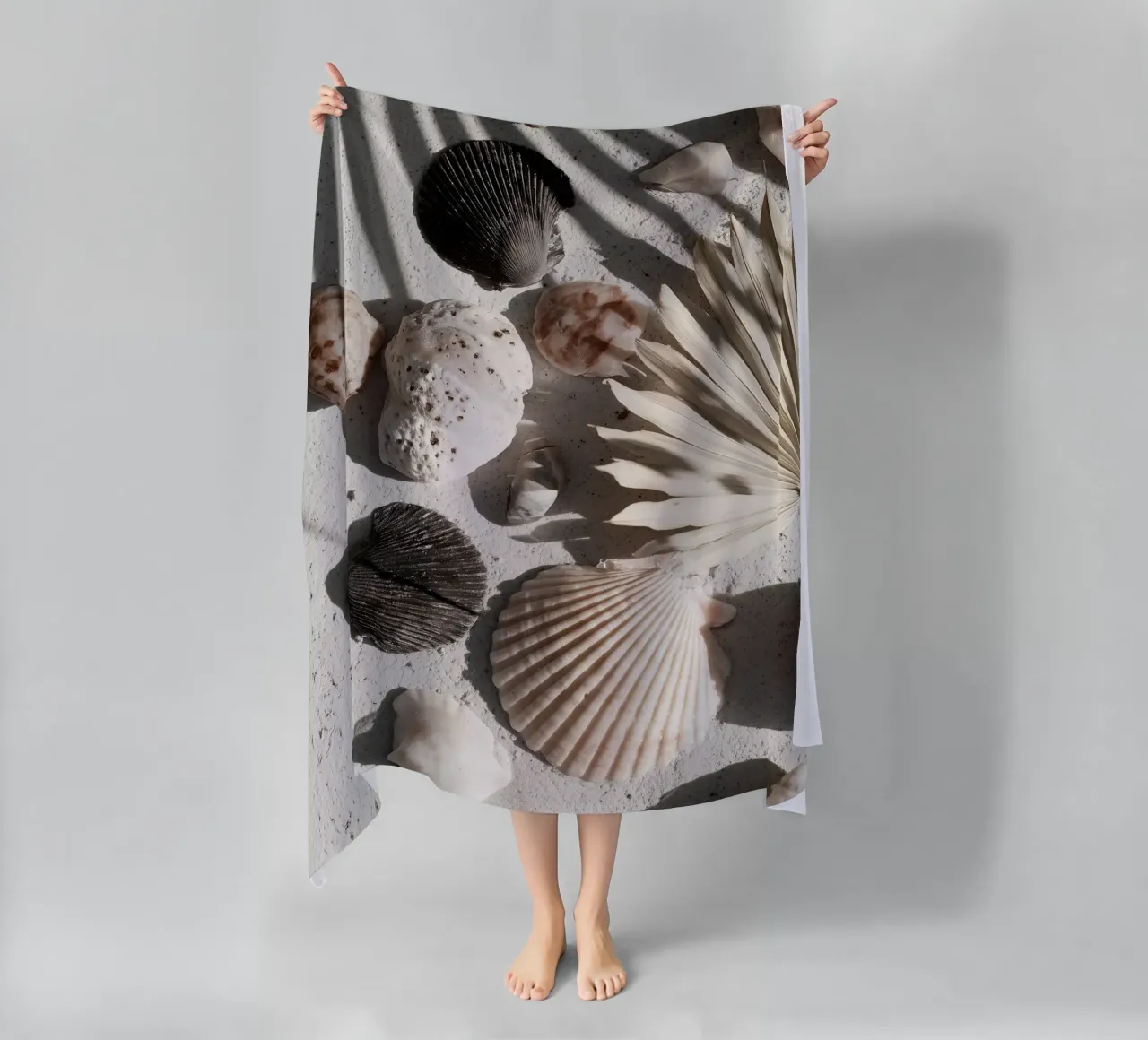 Shell Stories No 02 telo mare da treechild